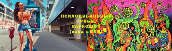 ГАЛЛЮЦИНОГЕННЫЕ ГРИБЫ Алексин