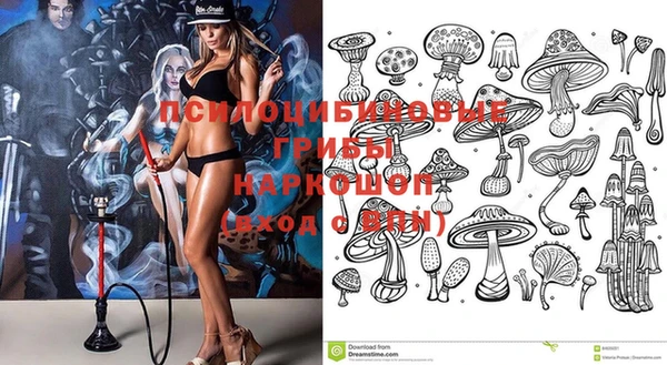 соль ск Лабытнанги